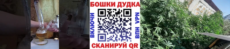 Каннабис Bruce Banner  Ивдель 
